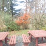 outdoor picnic tables in front of autumn coloured trees